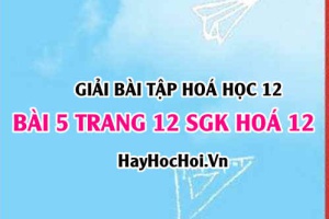Giải bài 5 trang 12 SGK Hoá 12: Khái niệm Lipit, chất béo, tính chất hoá học của Chất béo